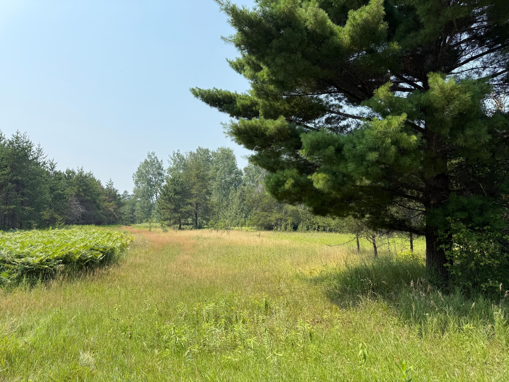 Property Photo:  Tbd 13 Acres Ponderosa Road NE  MN 56650 