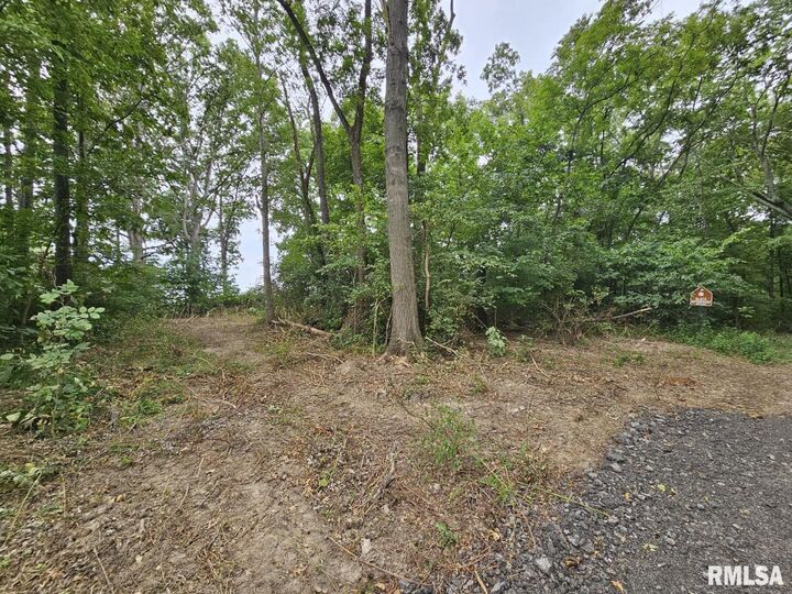 Property Photo:  0000 N Cash Lane  IL 62894 