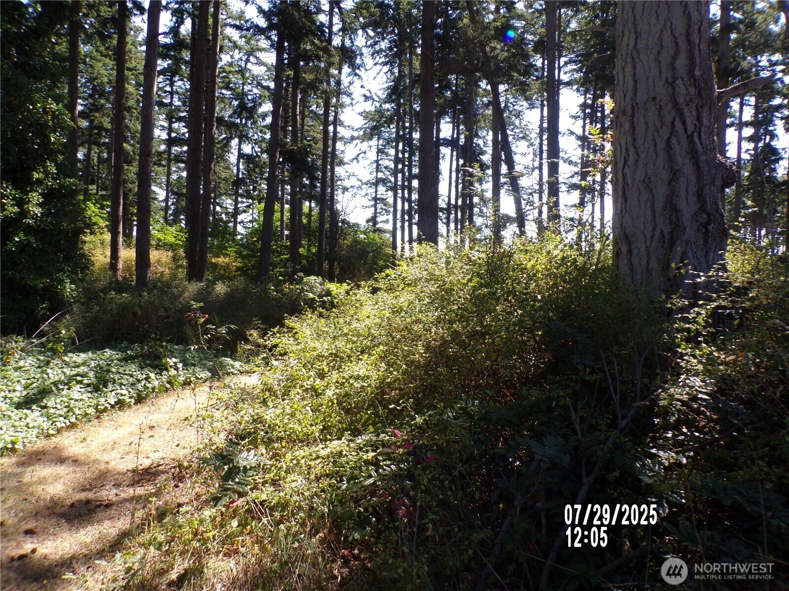 Property Photo:  1464  Nature View Lane  WA 98277 