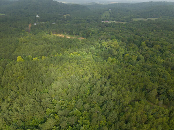 Property Photo: 239 County Road 752 TN 37370