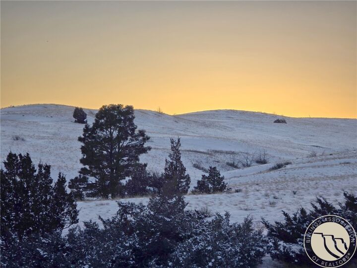 Property Photo:  251 Hump Creek Lot 2 Road  MT 59069 