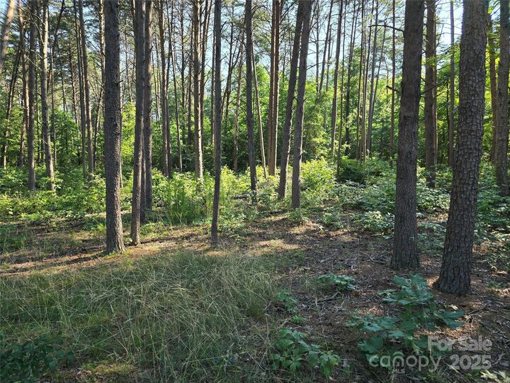 Property Photo: Tbd Wildwood Road NC 28146