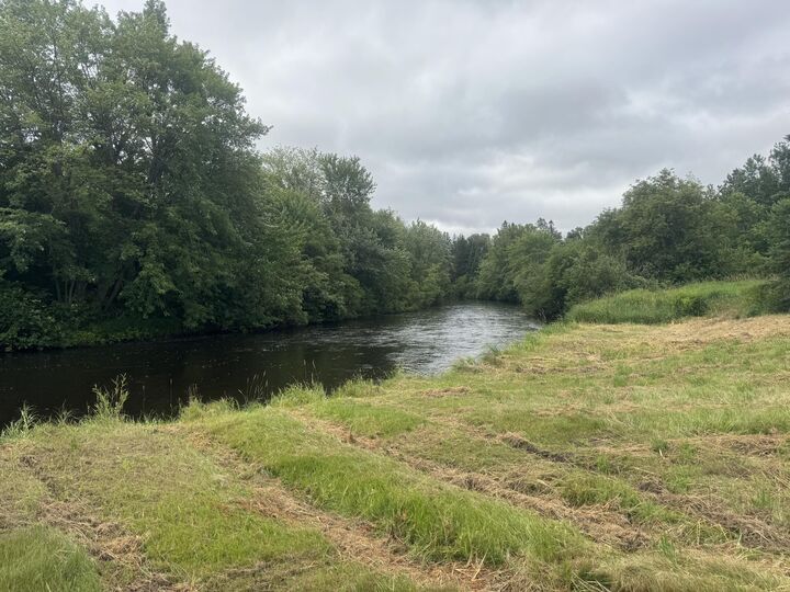 8112 M-77  Germfask MI 49836 photo