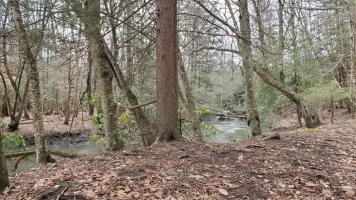 Property Photo:  1099 Hominy Creek Rd  WV 26679 