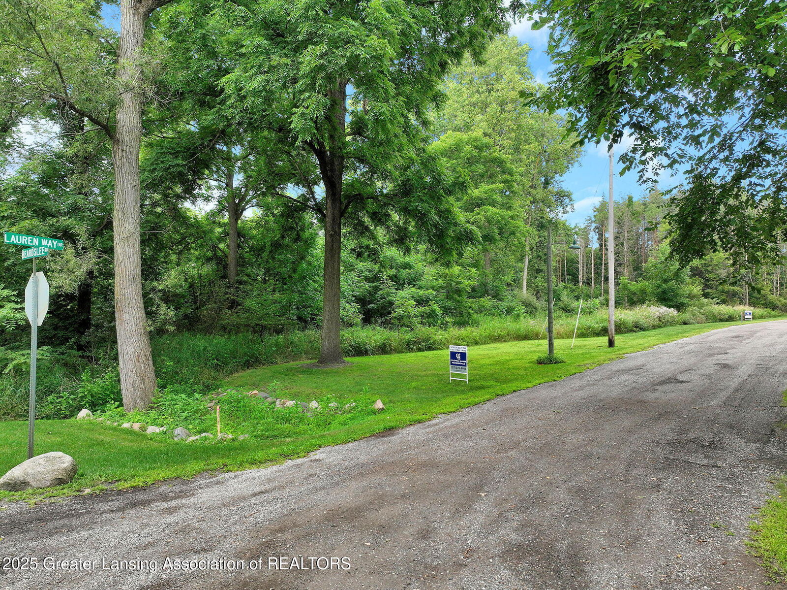 Property Photo: Lot A Lauren Way MI 48872