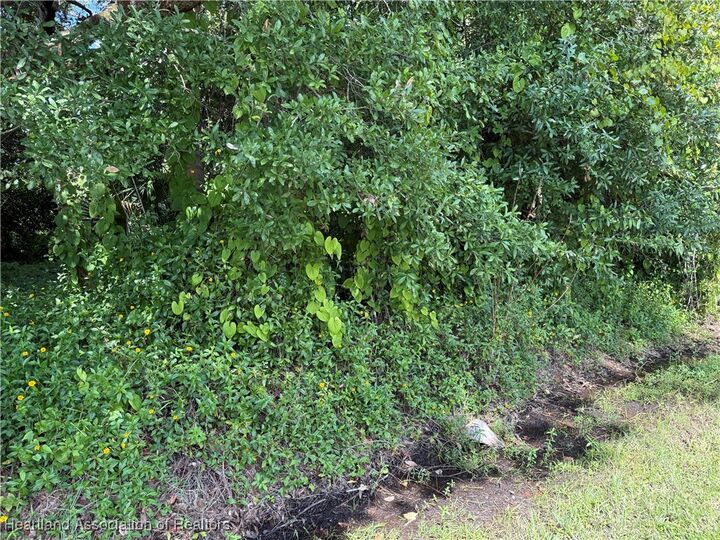 Property Photo:  1059 Lake Carrie Drive  FL 33852 