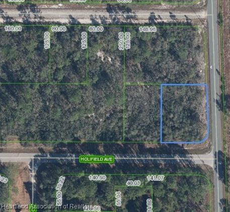 Property Photo:  3101 Holifield Avenue  FL 33852 