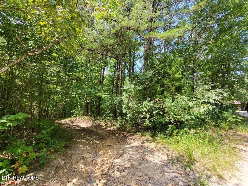 Property Photo:  0 Bowater Rd  TN 37367 