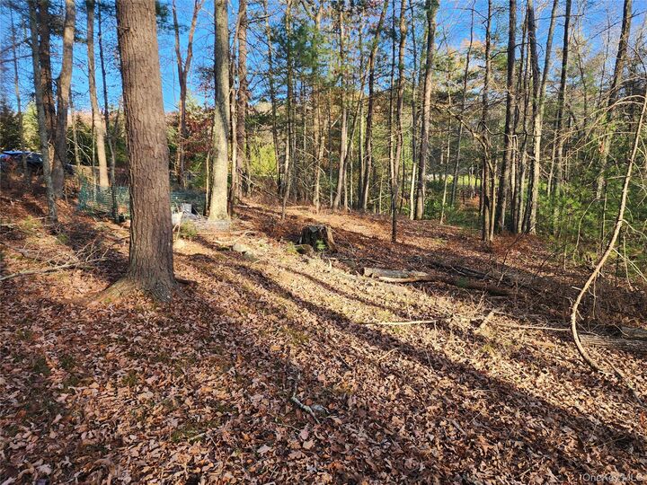 Property Photo: 0 Taras Schevchenko Road NY 12737