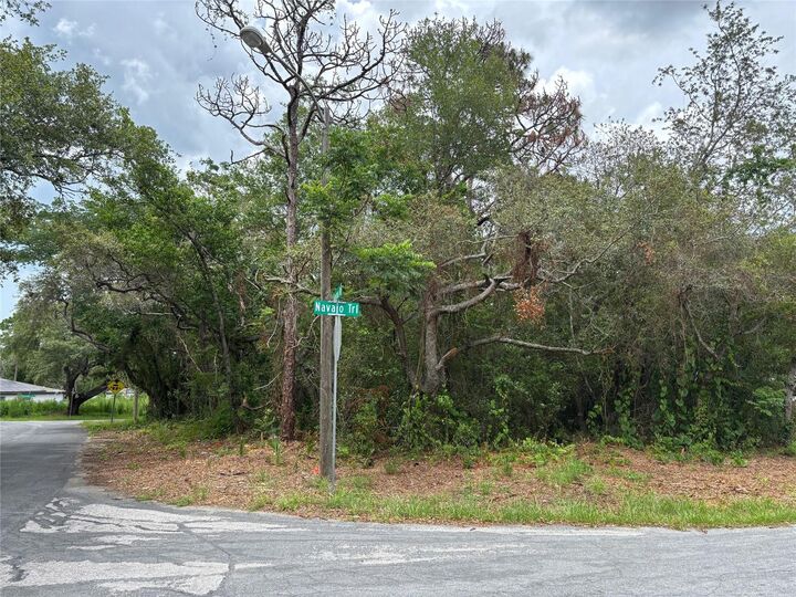 Property Photo:  Lot W290 Navajo Trail  FL 34606 
