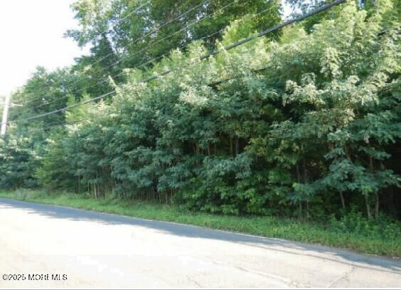 Property Photo:  000 Craig Road  NJ 07726 
