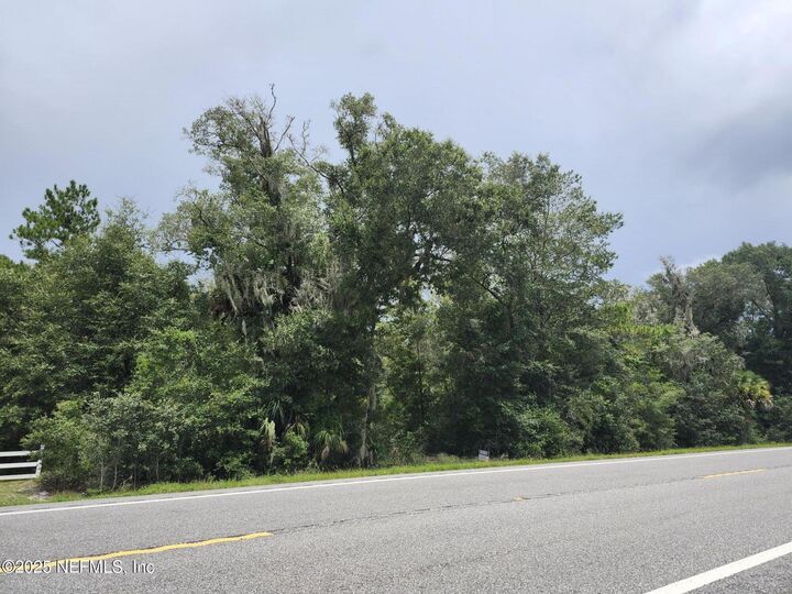 Property Photo:  1558 Highway 17  FL 32181 