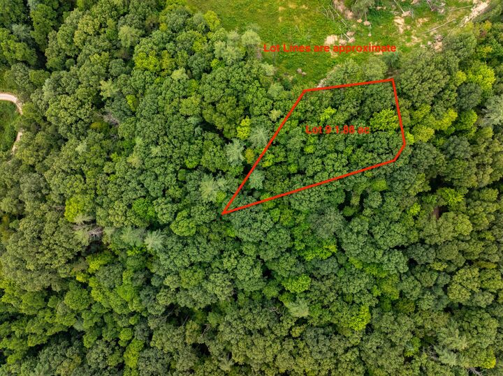 Property Photo: Lot 9 Victory Falls Development KY 41301