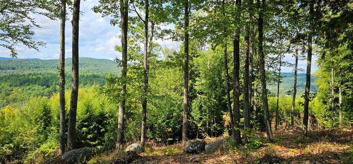 Property Photo:  7-351-B Patterson Hill Road  NH 03242 