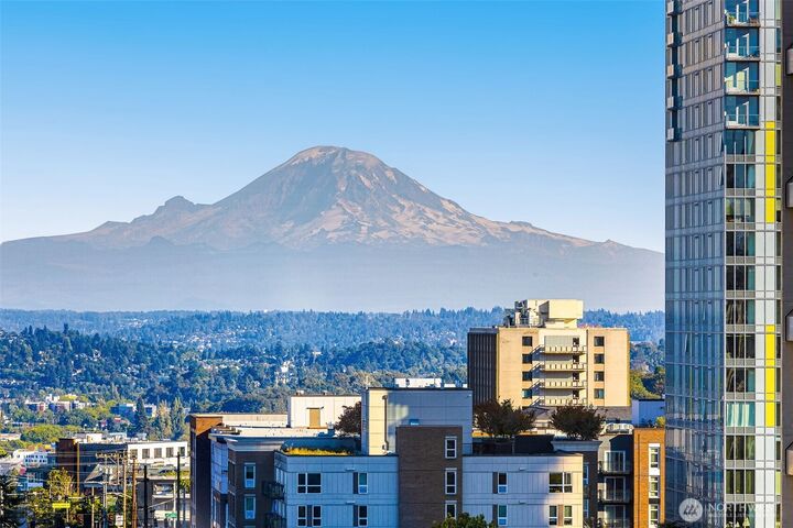 1105  Spring Street 1309  Seattle WA 98104 photo