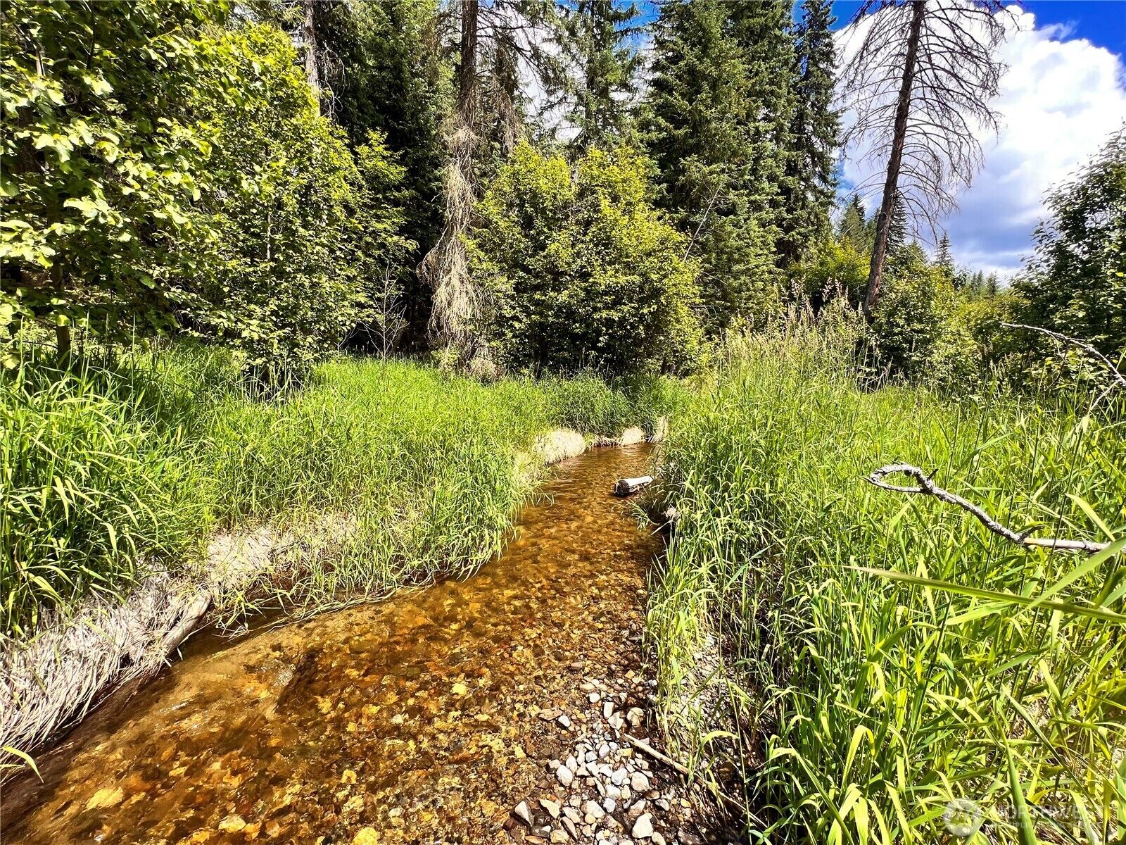 Property Photo: 0 Lambert Creek Road WA 99166