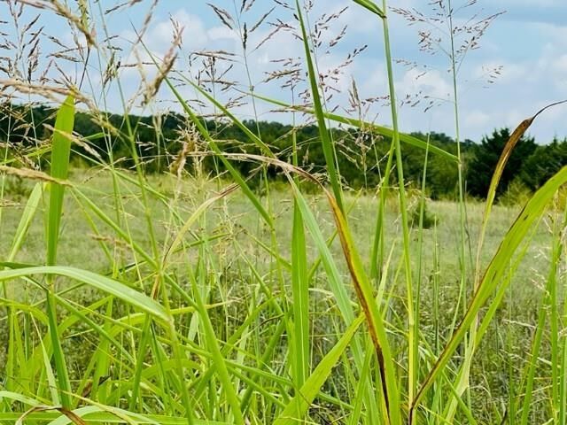 Property Photo: 82 Acres E Lakeview OK 74085