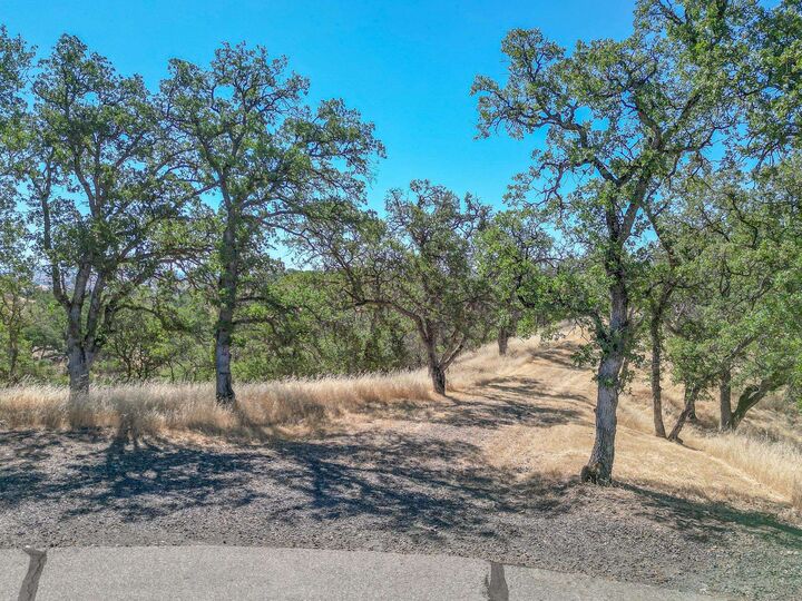 0 Wood Duck Pass  Red Bluff CA 96080 photo