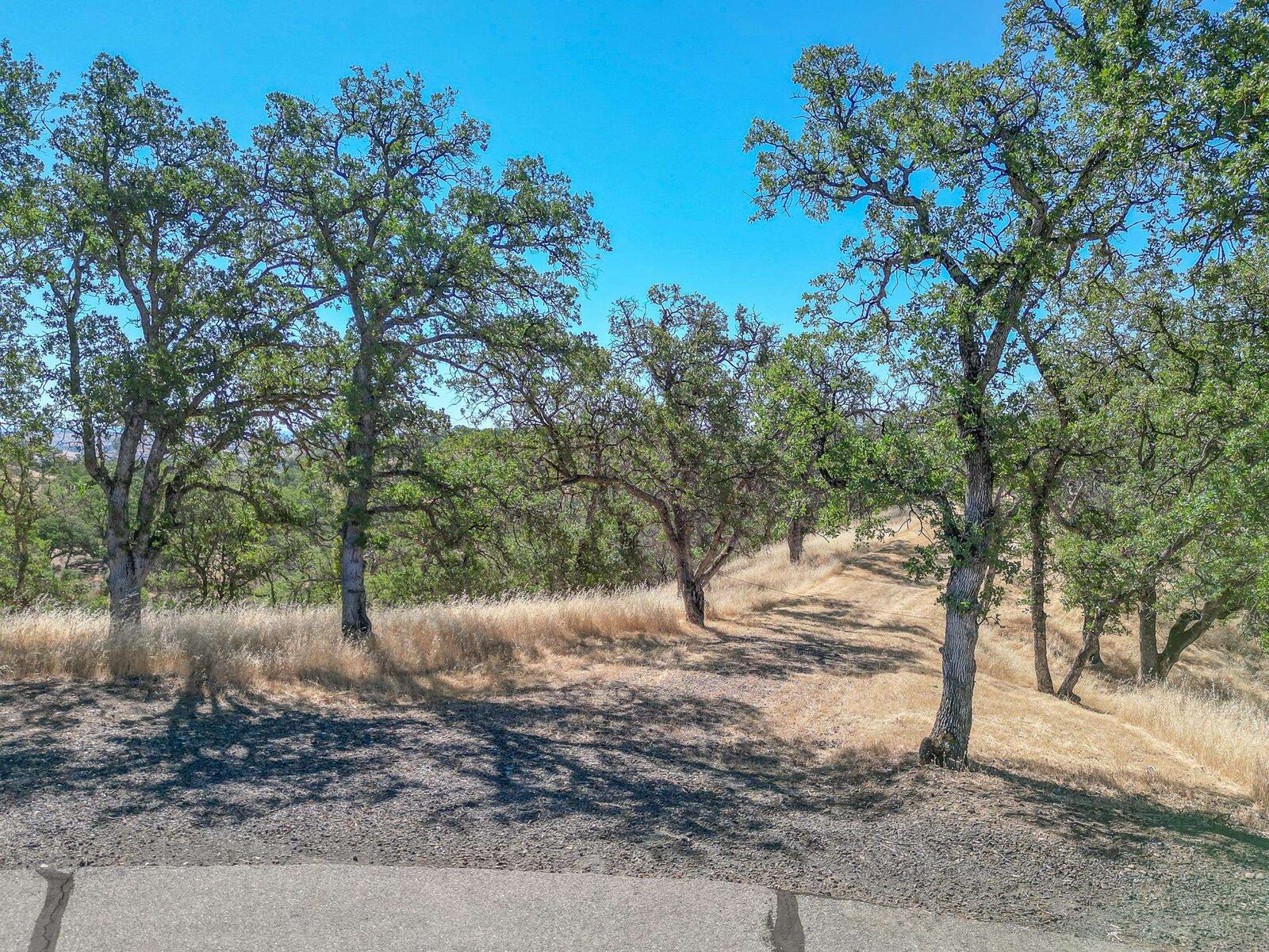Property Photo:  0 Wood Duck Pass  CA 96080 