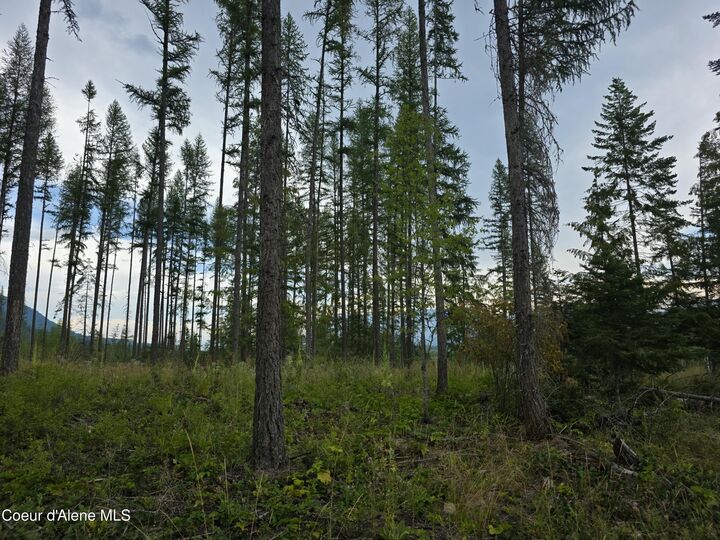 Nna Westside Rd Parcel 12  Bonners Ferry ID 83805 photo