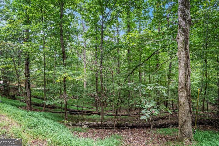 Property Photo:  Lot 72 Huron Circle 72  GA 30540 