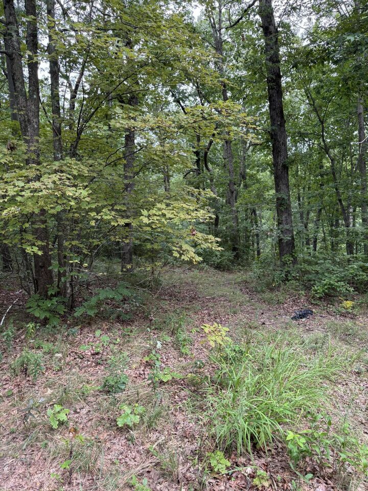 Property Photo:  0 Tatum Gulf Road  GA 30731 