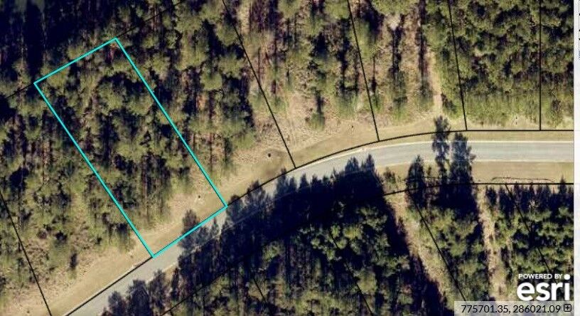 Property Photo:  0 Shoreline Drive  GA 31548 