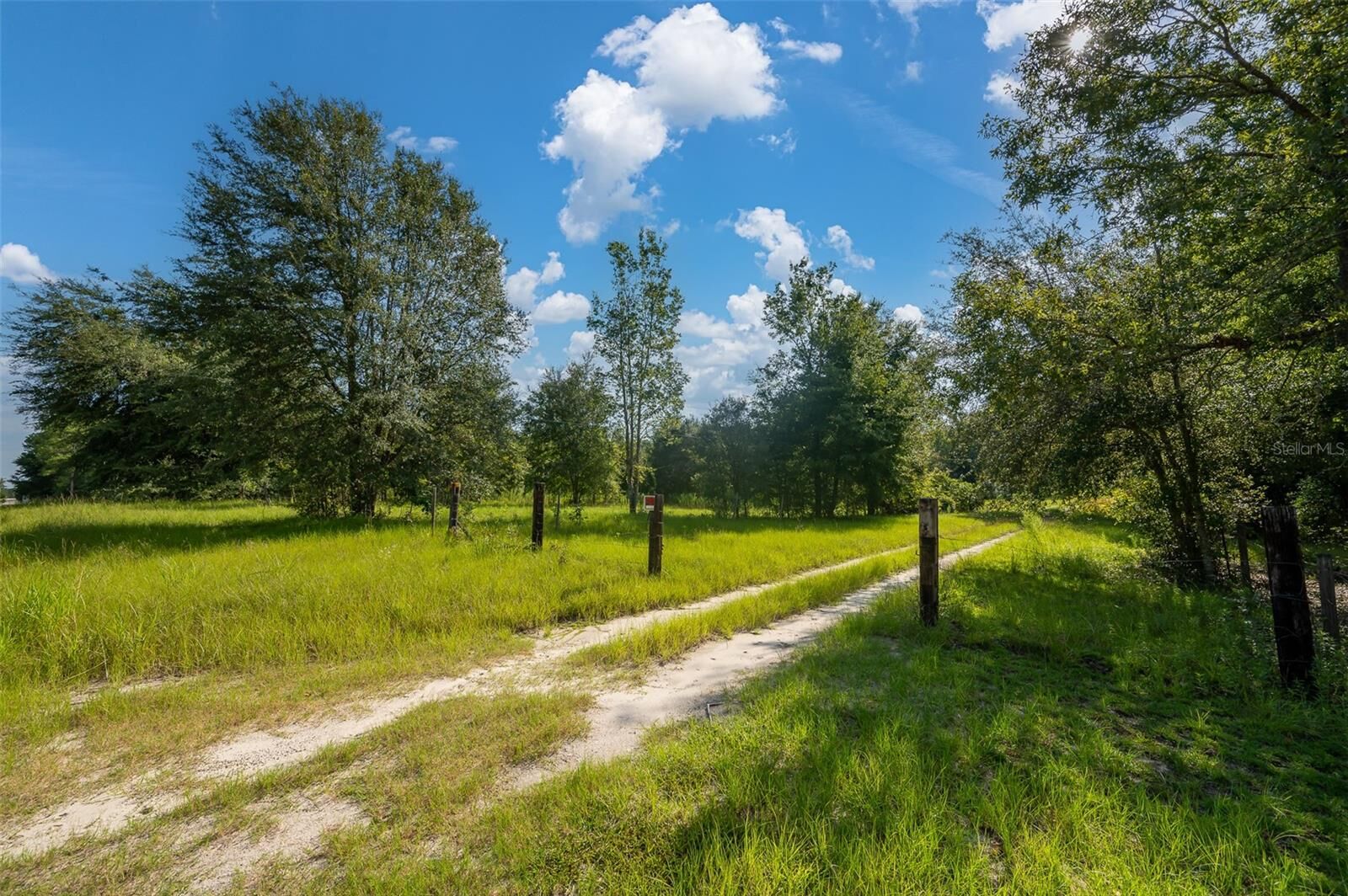 Property Photo:  3380 NE 44th Avenue  FL 32643 