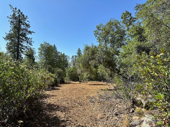Property Photo:  387 E Summit View Drive  CA 95722 