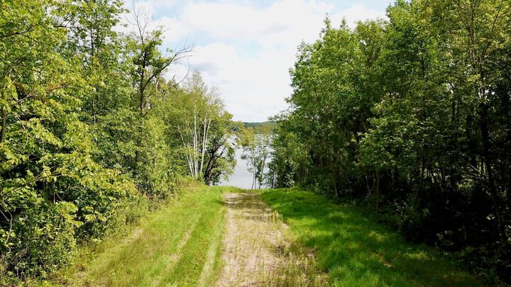 Property Photo: Tbd US 71 MN 56378