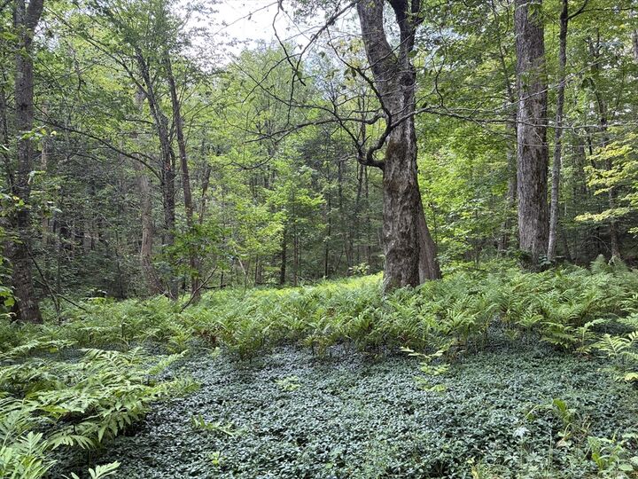 Property Photo:  139 Taylor Brook Rd  MA 01346 