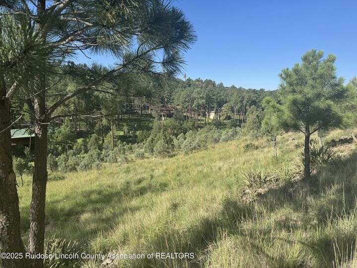 Property Photo: Lot 10A Stable Road NM 88312