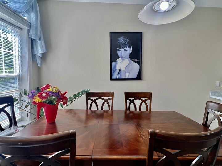 Property Photo:  291 Silverbrook Road 7  CT 06477 
