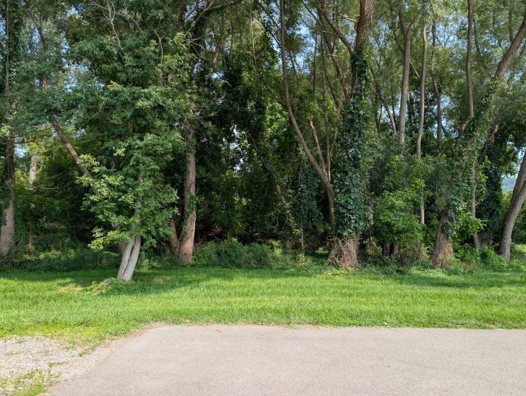 Property Photo:  Rural  NY 14843 