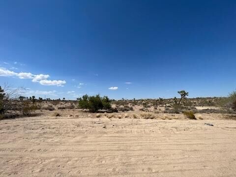 Property Photo:  0 Buena Vista Drive  CA 92284 