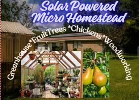 Property Photo:  5543 Galaxy Drive  FL 32539 
