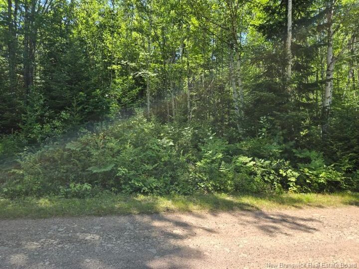 Property Photo:  1 Morton Lane  NB E4A 3J3 