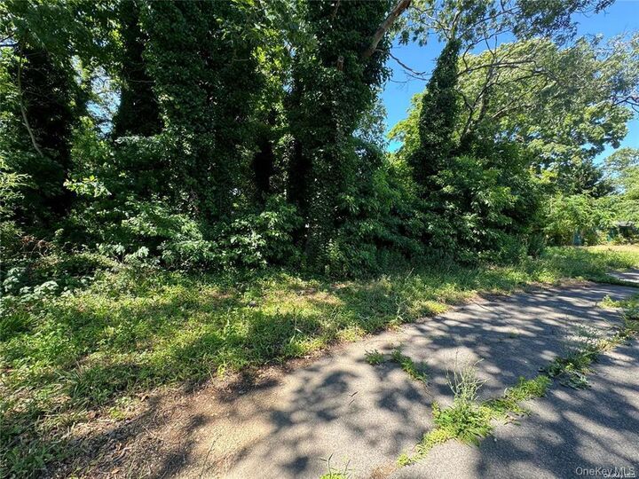 Property Photo: 215 Cortland Street NY 11726