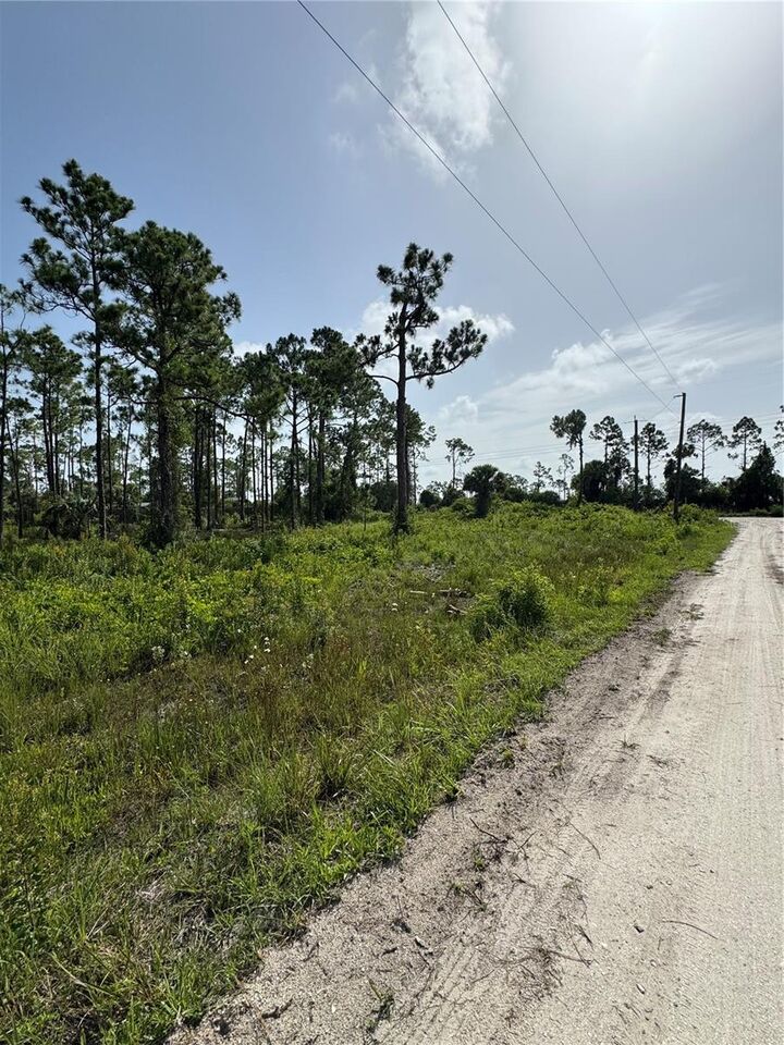 Property Photo: 29528 Clara Drive FL 33982