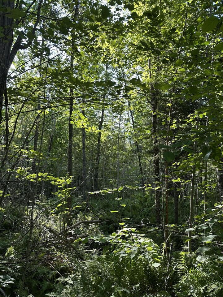 Property Photo:  Map7lot68 Kirkland Road  ME 04468 