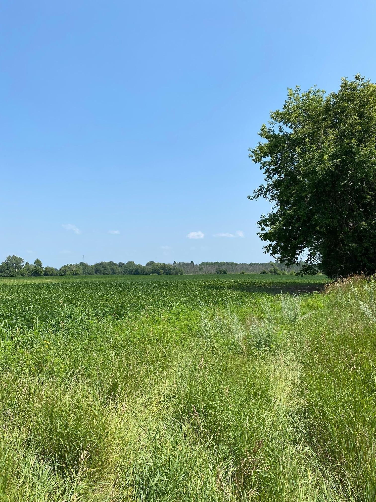 Property Photo:  Tbd Hwy 65 NE  MN 55006 