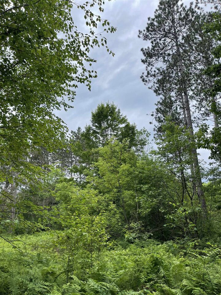 Property Photo: Burnt Pine Road 1 WI 54138