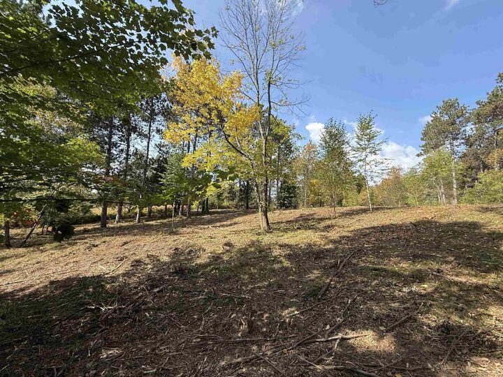 Property Photo: Burnt Pine Road 1 WI 54138
