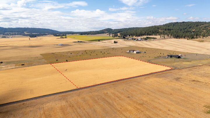 Property Photo:  246xx N Spotted Rd  WA 99006 