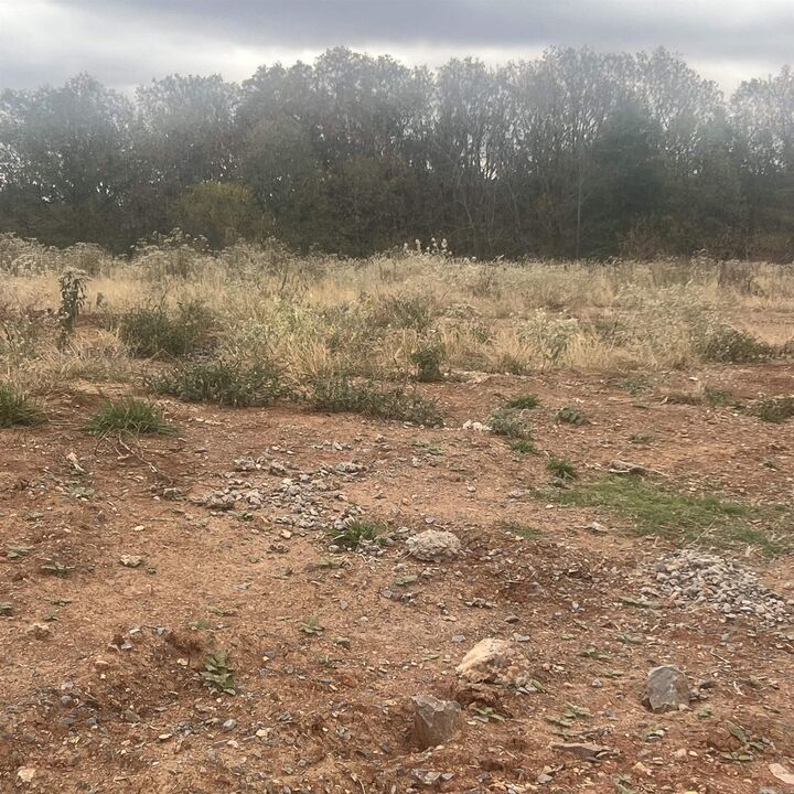 523 Corondelet Lane  Maumelle AR 72113 photo