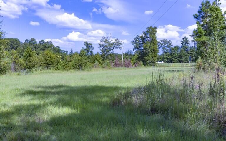 Property Photo: 0 Mulberry Road SC 29477