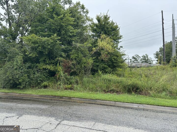 Property Photo:  130 Mill Way  GA 31061 