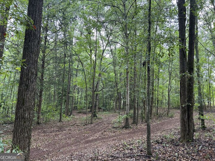Property Photo: 0 Bush Road GA 30204