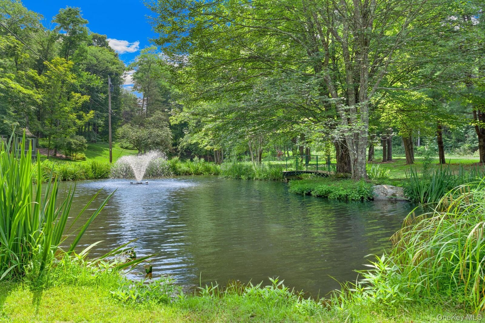 Property Photo:  492 Willow Brook Road  NY 12514 