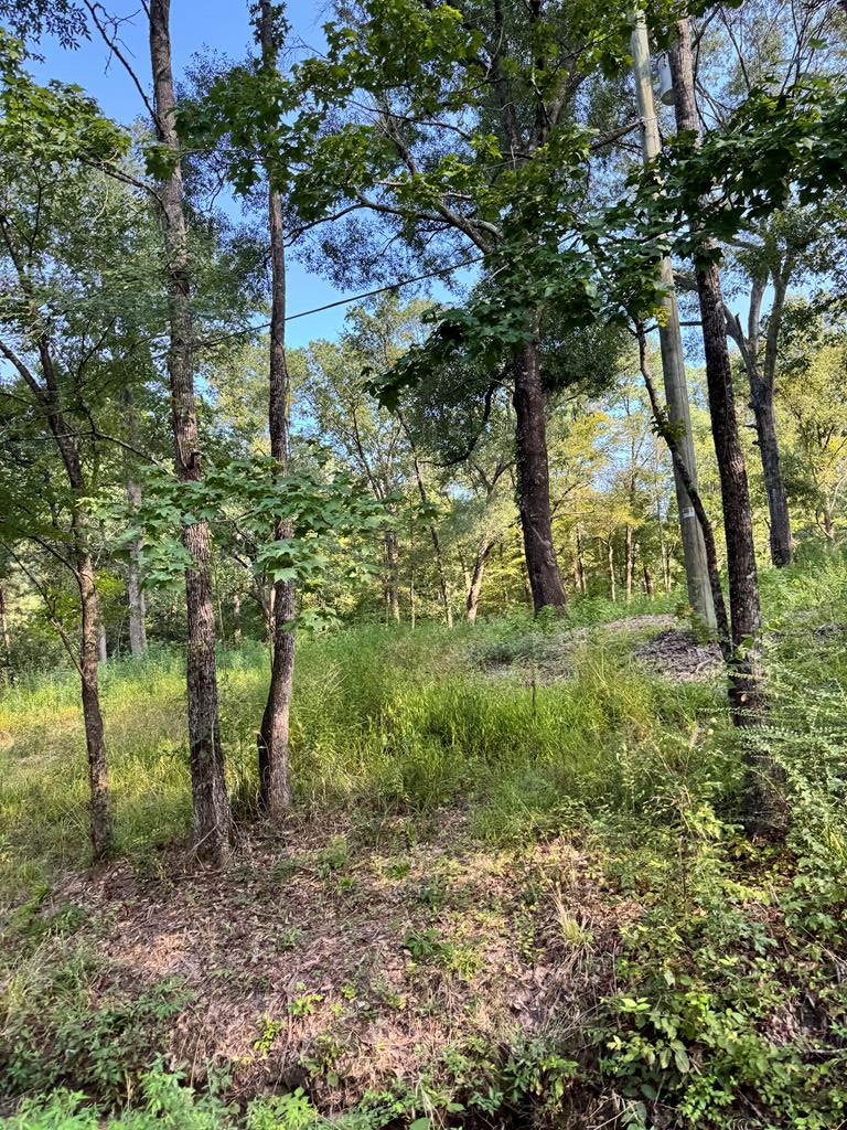 Property Photo:  Pt Of 560 McKindree Rd  TX 75901 